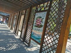 -莲花池公园