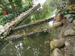 -成都市活水公园