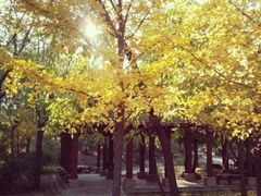 景点-沈阳中山公园