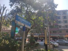 -广州市流溪河国家森林公园