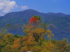-塔川景区