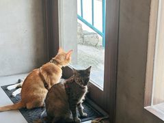 -Again Coffee Roaster(香蜜湖店)