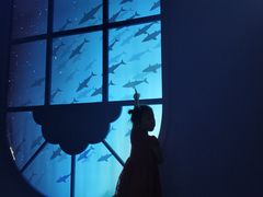 -DQ·蛋糕·冰淇淋(万象城店)