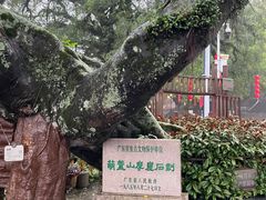 -潮州西湖