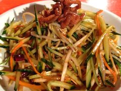 胖太太凉拌菜-胖太太四川麻辣排骨串(镇江路分店)