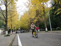 -四川大学(望江校区)