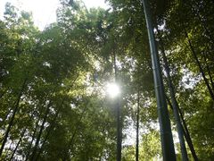 -天目湖山水园
