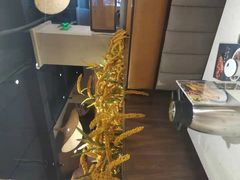 -秋色客家菜(流塘店)