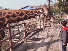 -西安秦岭野生动物园