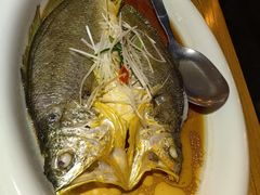 黄鱼-江南赋(内蒙古大厦店)