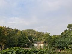 -深圳国际园林花卉博览园