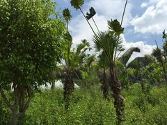-龙谷湾旅游休闲度假区