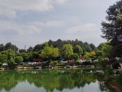 -铁山坪森林公园