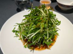 油醋汁浸坚果空心菜苗-广舟(千禧店)