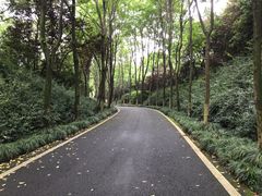 -宜兴龙背山森林公园