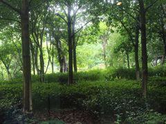 -宁波九龙湖开元度假村