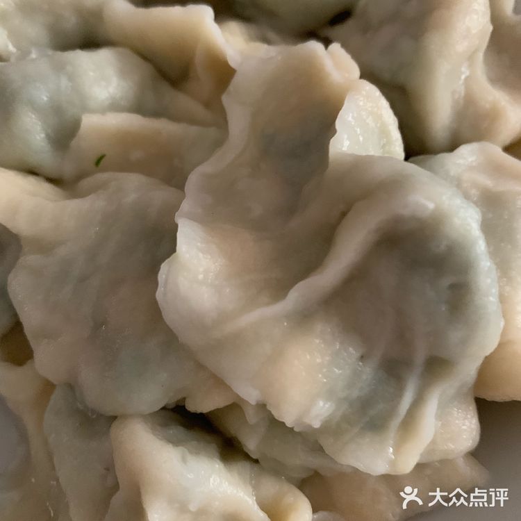 感受大自然的美好味道山野菜饺子