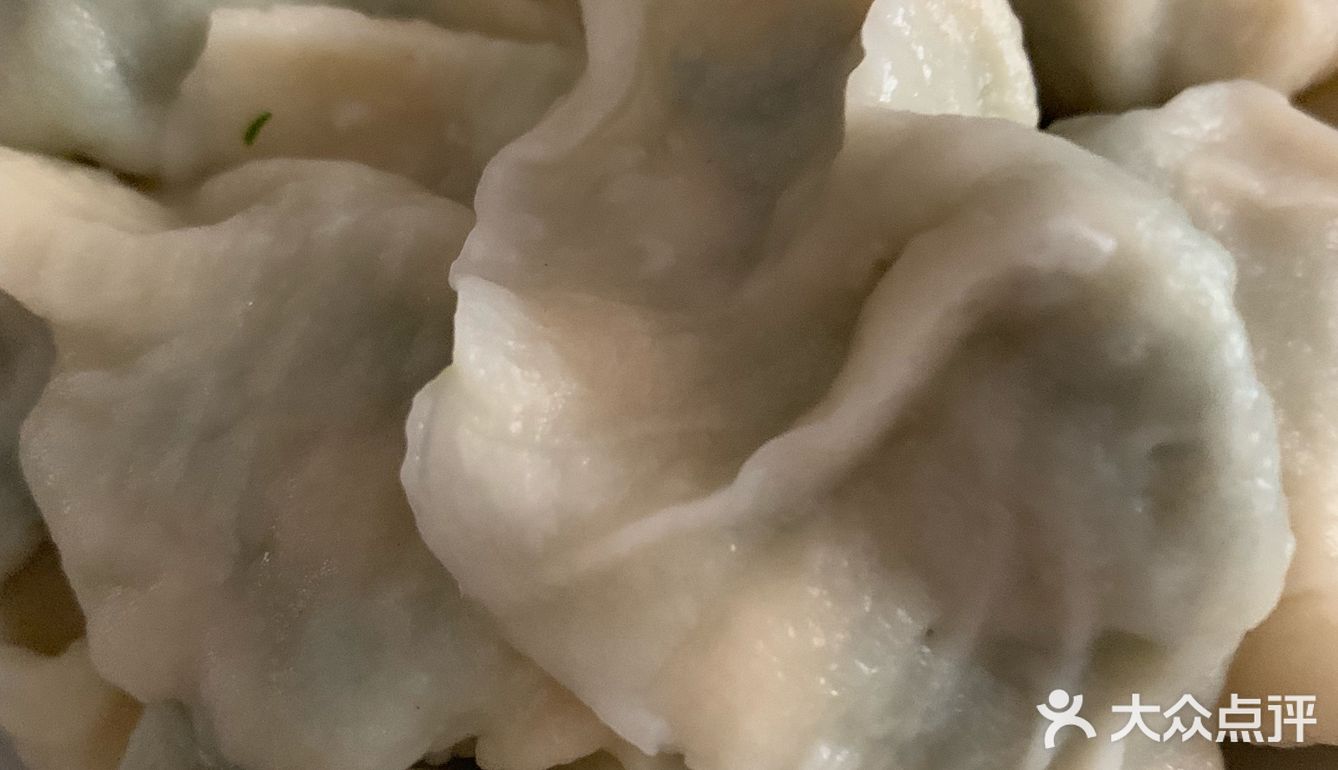 感受大自然的美好味道山野菜饺子