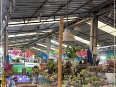 -曲阳花鸟市场(曲阳路店)