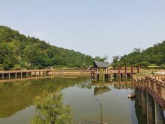 -神光山国家森林公园