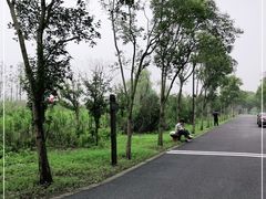 -广富林郊野公园