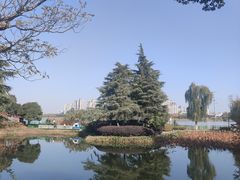 -金银湖国家城市湿地公园
