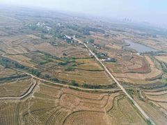 -合肥滨湖国家森林公园