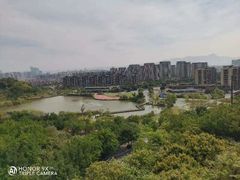 -飞凤山奥体公园
