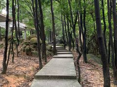 -火炉山森林公园