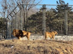 -石家庄市动物园