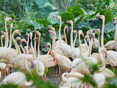 -Sony Store索尼(广州正佳店)