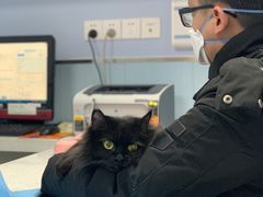 -纳吉亚猫专科动物诊疗中心(蒋宅口分院)