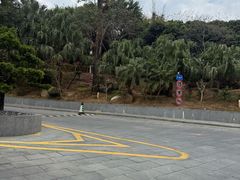 -惠州金海湾嘉华度假酒店