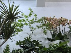 -苏州市皮市街花鸟工艺品市场