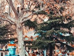 -庄怡公园