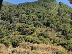 -梧桐山风景名胜区