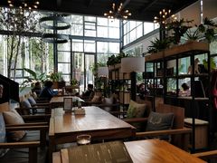 大堂-桉树林A coffee 森林餐厅(三圣乡店)