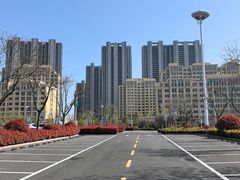 -星光岛