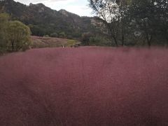 -昆嵛山石门里景区