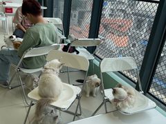 -怪兽屋·羊驼·猫咖·狗咖(俊华广场店)