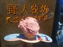 -野人牧坊Gelato(天津南开大悦城店)