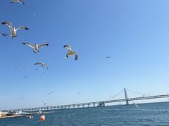 -星海广场