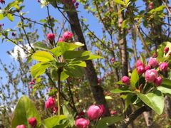 景点-陶然亭公园