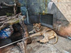 -西安秦岭野生动物园