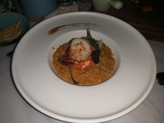 -STARRY CAFE & LOUNGE BAR(高新店)