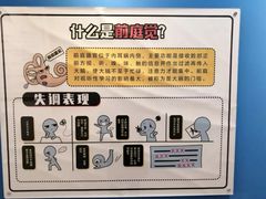 -金色雨林·专注力情商思维感统(海岸城八方汇中心)