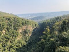 -川西竹海景区