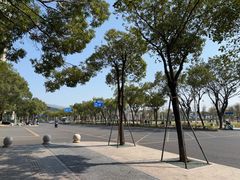 -广场正宗原汁薏米店