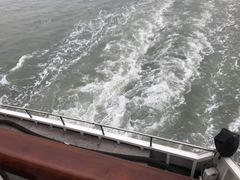 -厦门邮轮中心厦鼓码头(轮渡站)