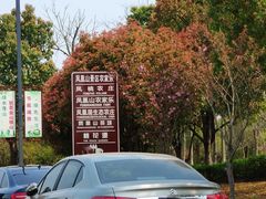 -张家港凤凰山景区河阳山歌馆